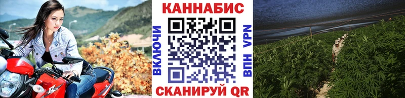 NBOMe Пугачёв
