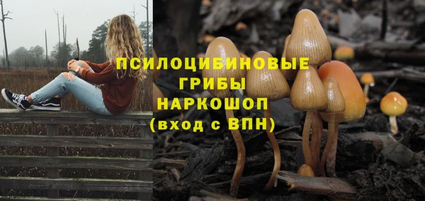 крисы Россошь