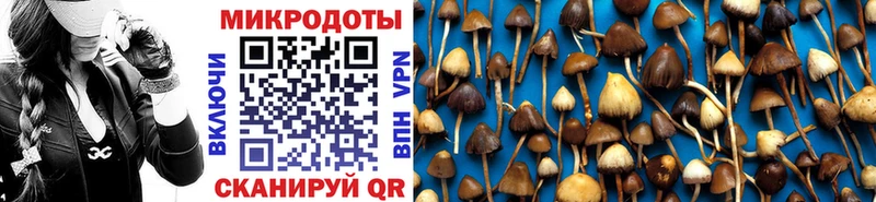Галлюциногенные грибы GOLDEN TEACHER  Купить  Пугачёв 